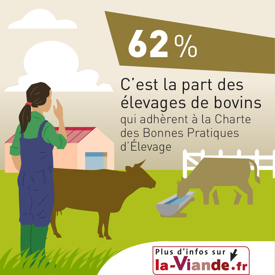 Le Bien Etre Des Animaux A La Ferme Environnement Ethique La Viande Fr