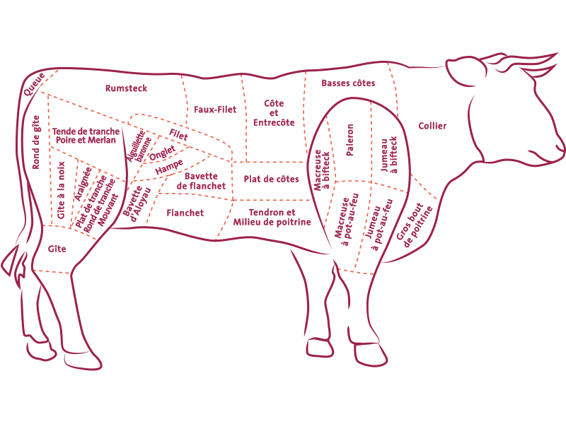 Tout savoir sur le bœuf : Femme Actuelle Le MAG